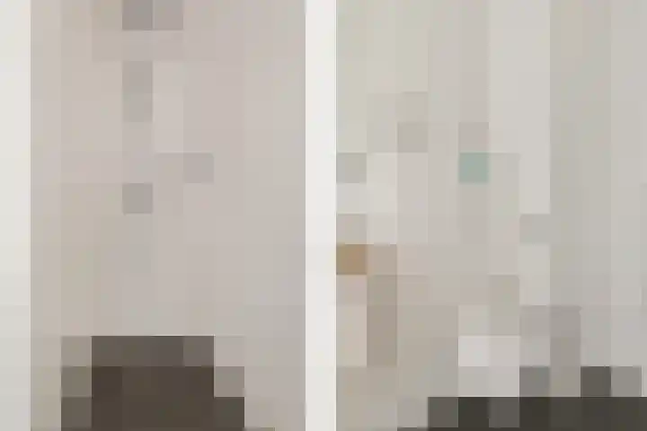 Botter 65 Alblasserdam thumbnail 28