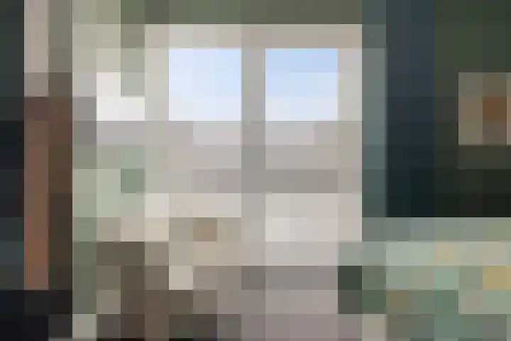 Botter 65 Alblasserdam thumbnail 30