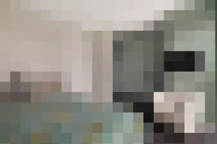 Botter 65 Alblasserdam thumbnail 33