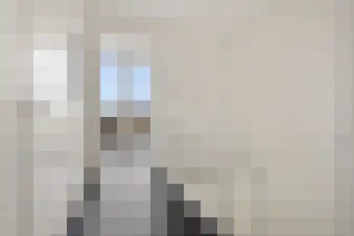 Botter 65 Alblasserdam thumbnail 36
