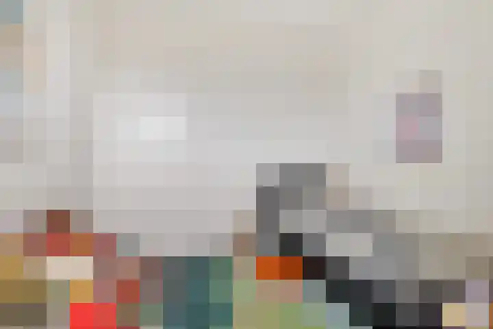 Botter 65 Alblasserdam thumbnail 40