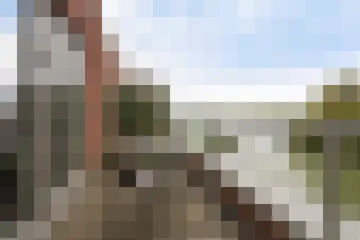 Botter 65 Alblasserdam thumbnail 45