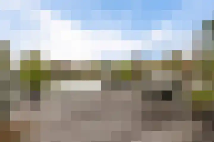 Botter 65 Alblasserdam thumbnail 48