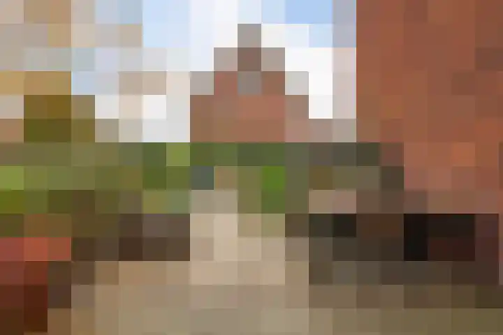 Botter 65 Alblasserdam thumbnail 50
