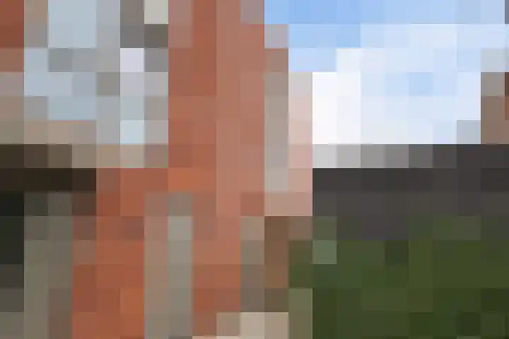 Botter 65 Alblasserdam thumbnail 6