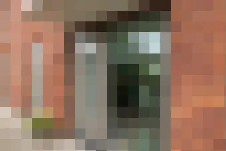 Botter 65 Alblasserdam thumbnail 8