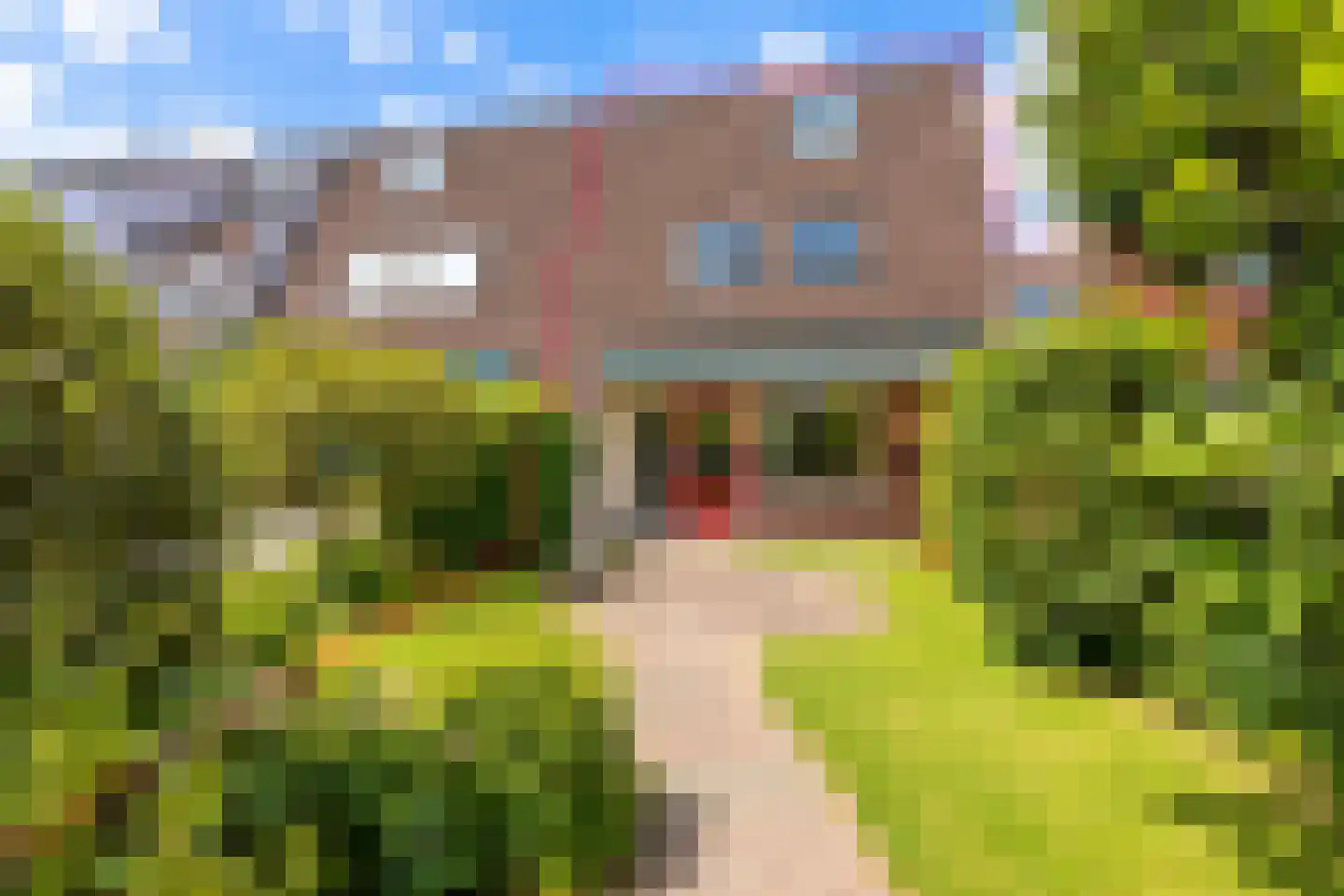 Botter 65 Hoorn foto 2