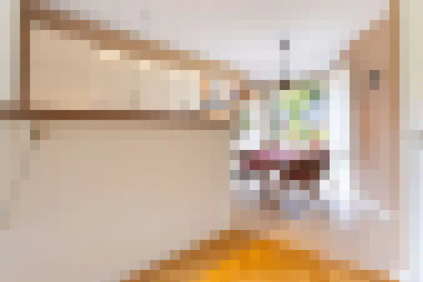 Botter 65 Hoorn thumbnail 20