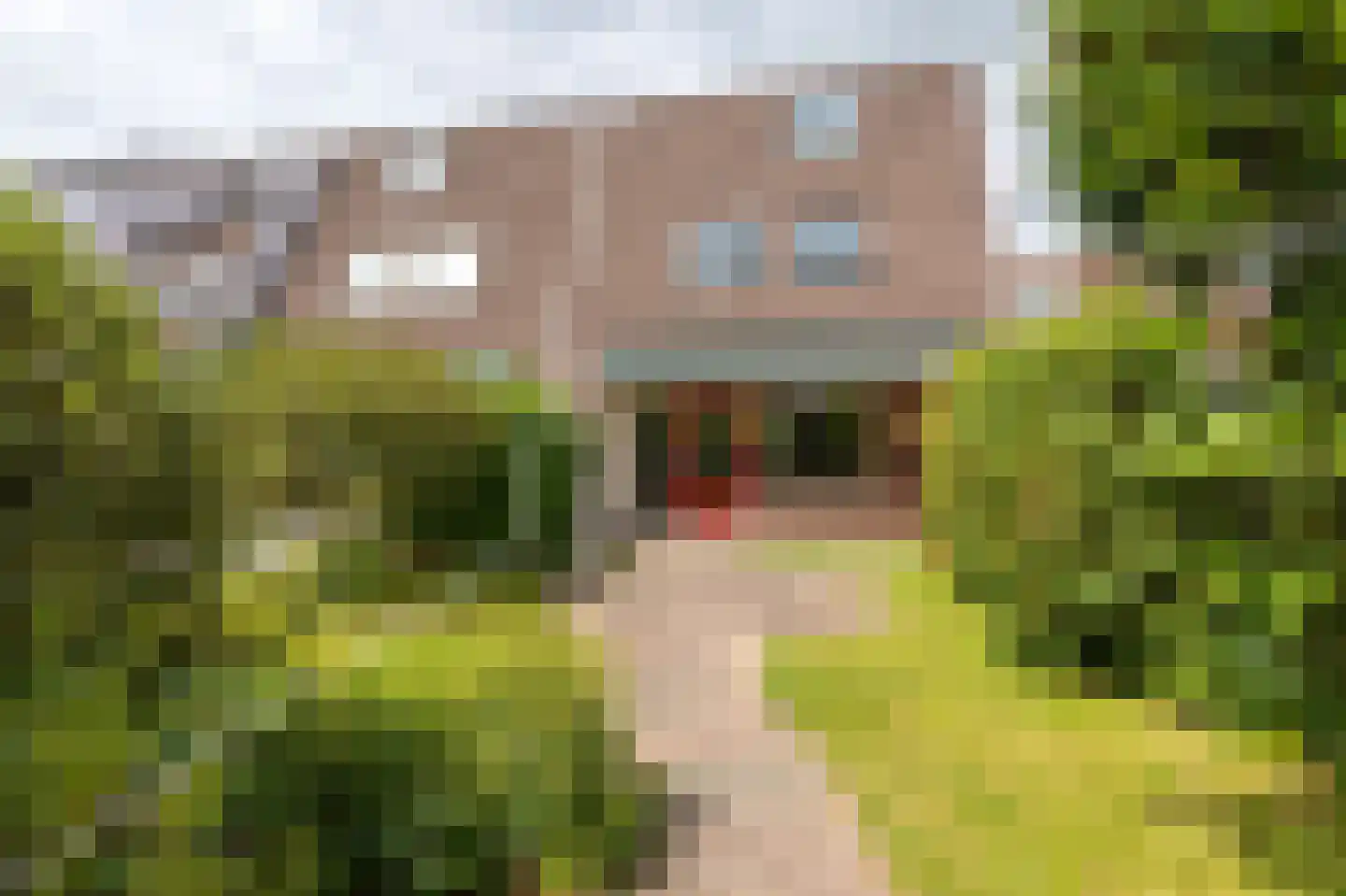 Botter 65 Hoorn foto 3