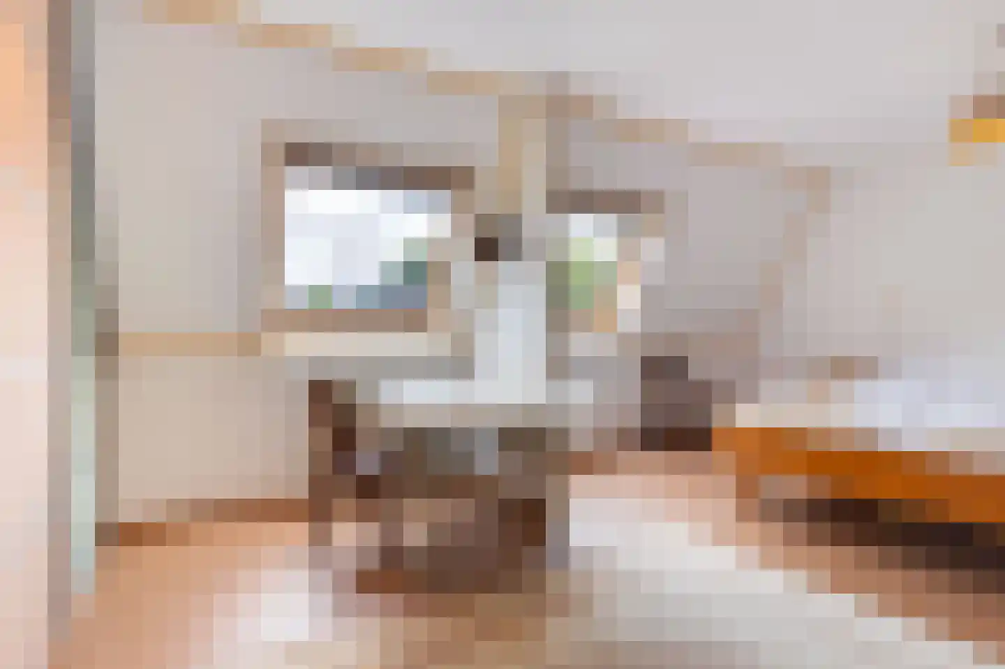 Botter 65 Hoorn thumbnail 30