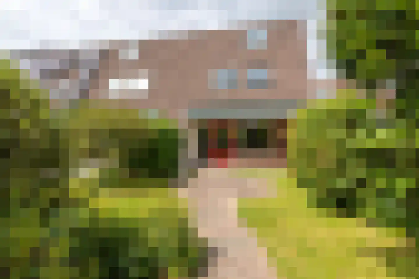 Botter 65 Hoorn thumbnail 44