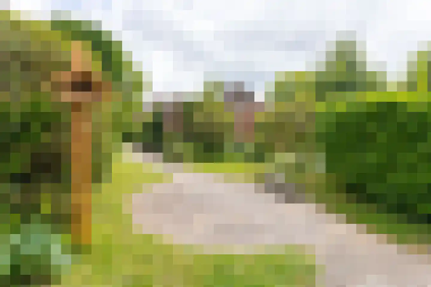 Botter 65 Hoorn thumbnail 45