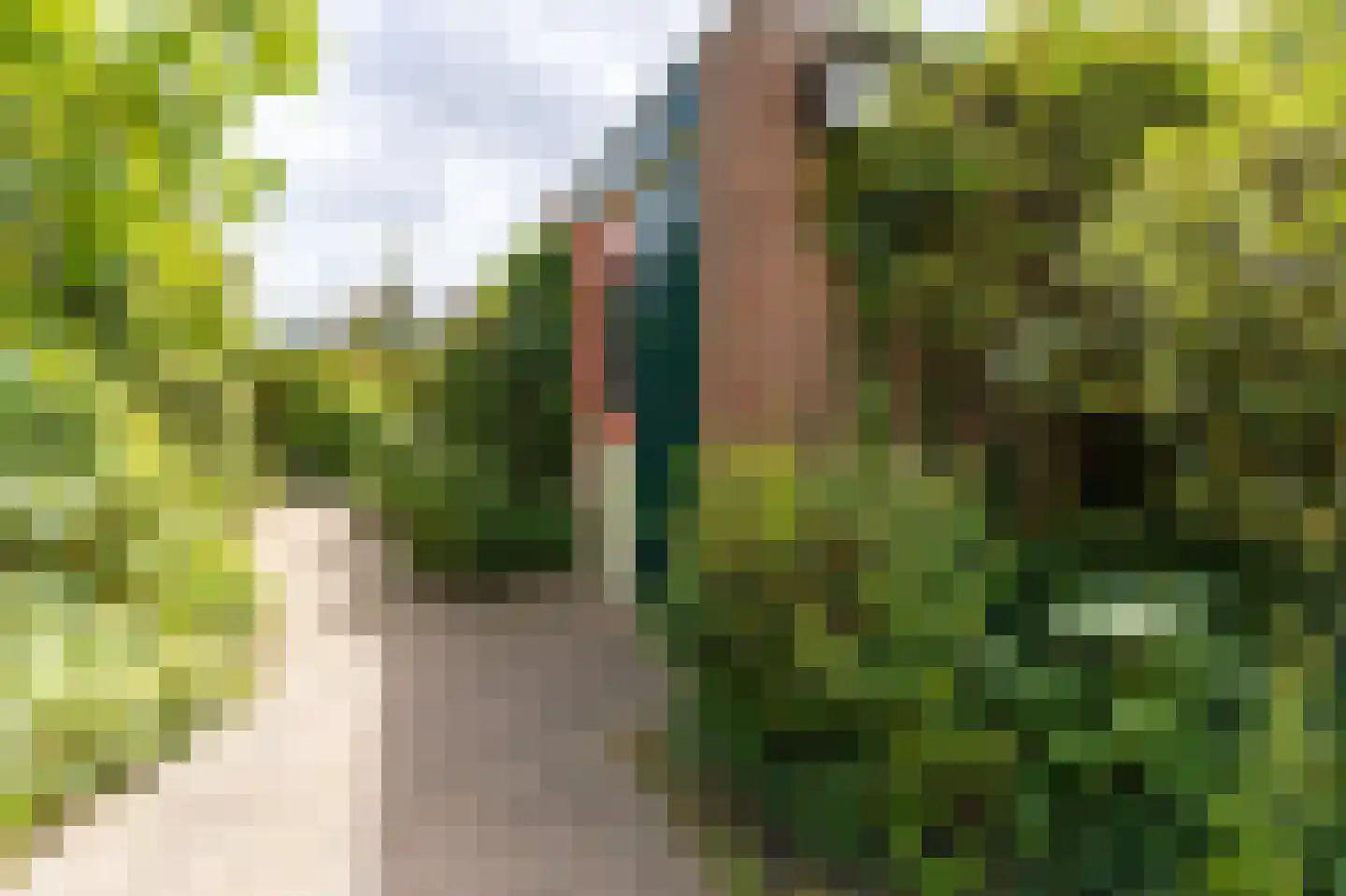 Botter 65 Hoorn thumbnail 46