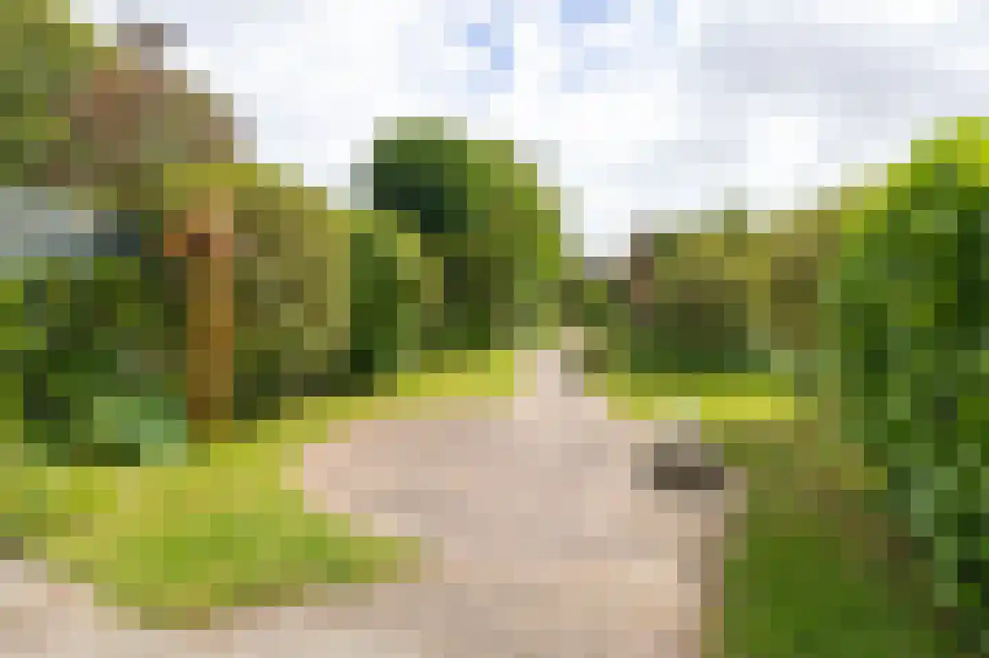 Botter 65 Hoorn thumbnail 47