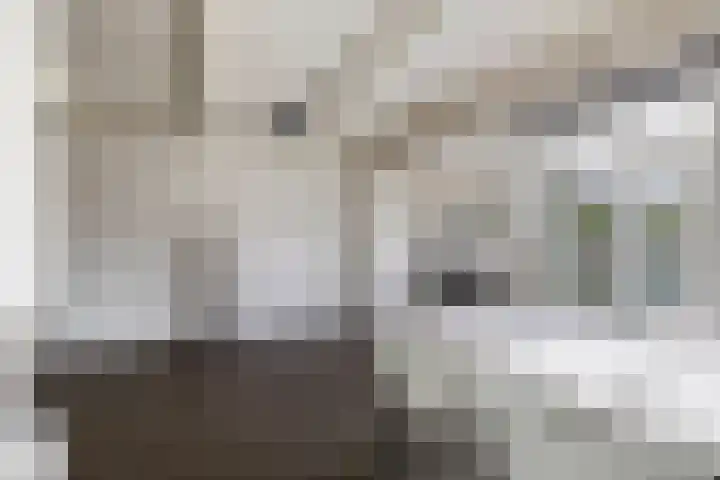 Botter 74 Lemmer thumbnail 18