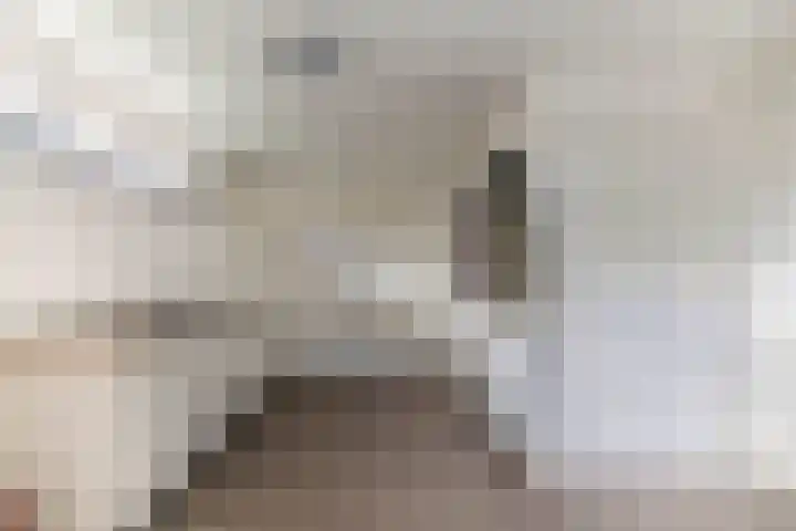 Botter 74 Lemmer thumbnail 23