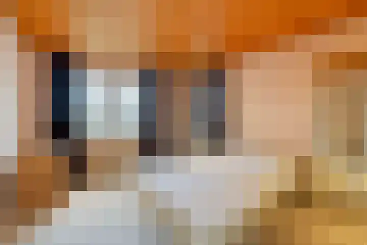 Botter 74 Lemmer thumbnail 26
