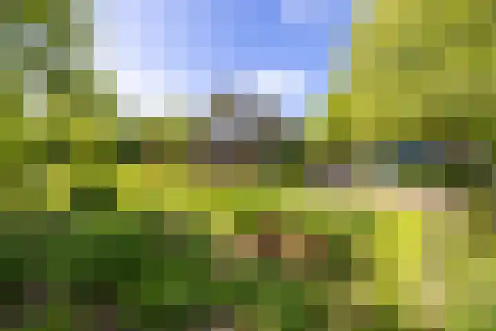 Botter 74 Lemmer thumbnail 34