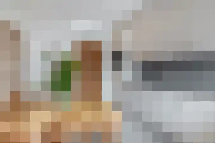 Botter 74 Lemmer thumbnail 43
