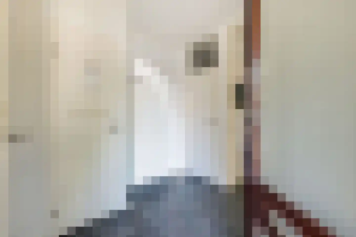 Botter 78 Hoorn thumbnail 25