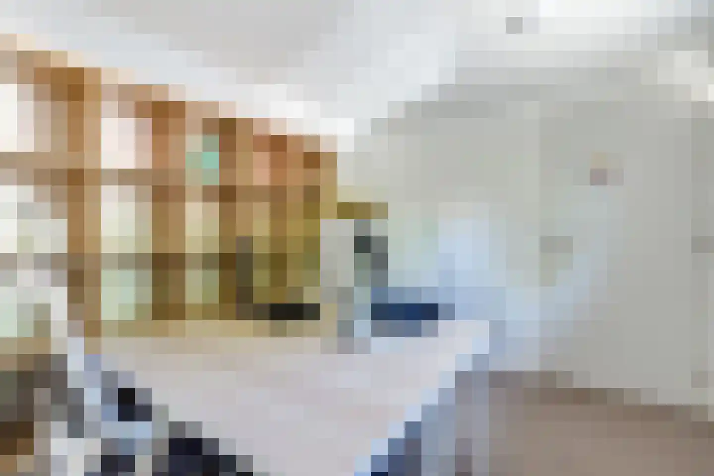 Botter 78 Hoorn thumbnail 30