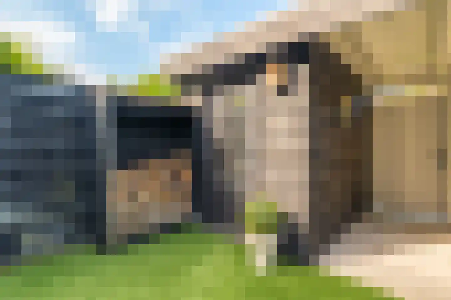 Botter 78 Hoorn thumbnail 56