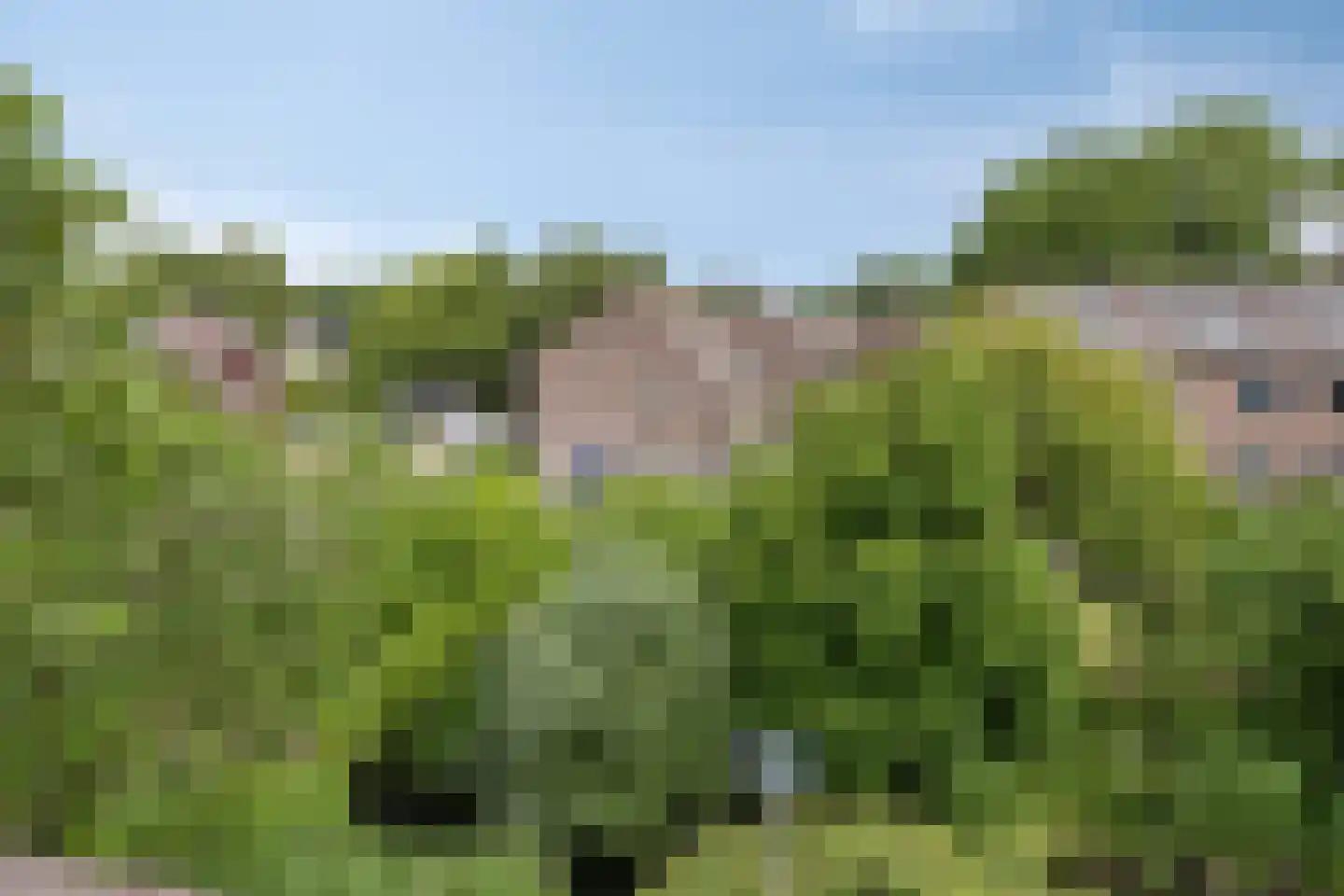 Botter 8 Oud-Beijerland thumbnail 36
