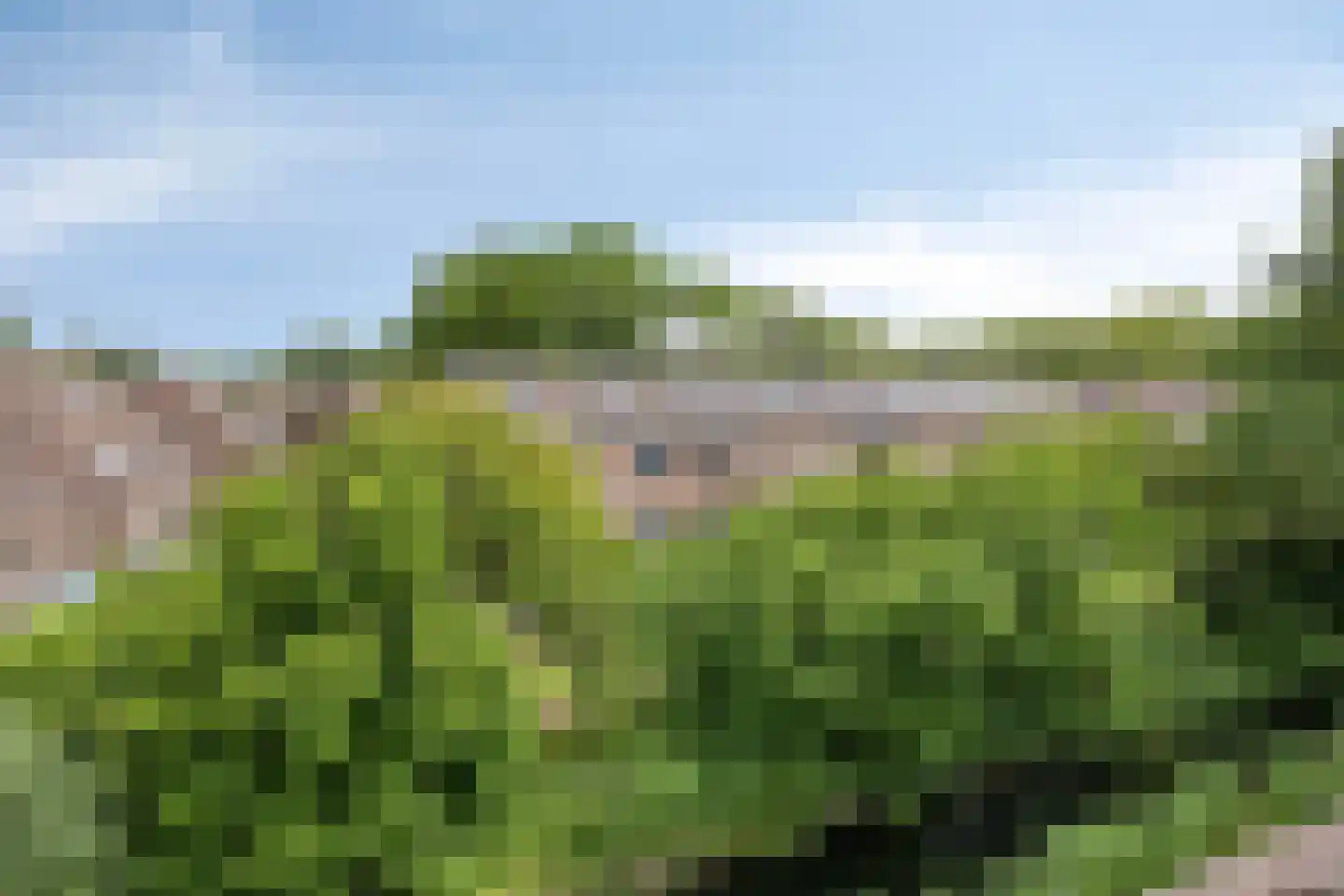 Botter 8 Oud-Beijerland thumbnail 37