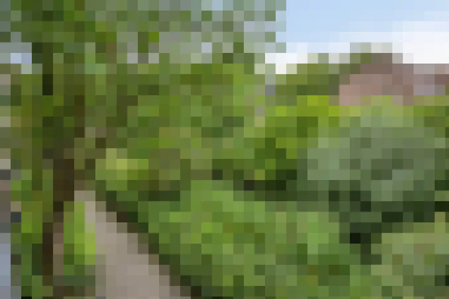 Botter 8 Oud-Beijerland thumbnail 39