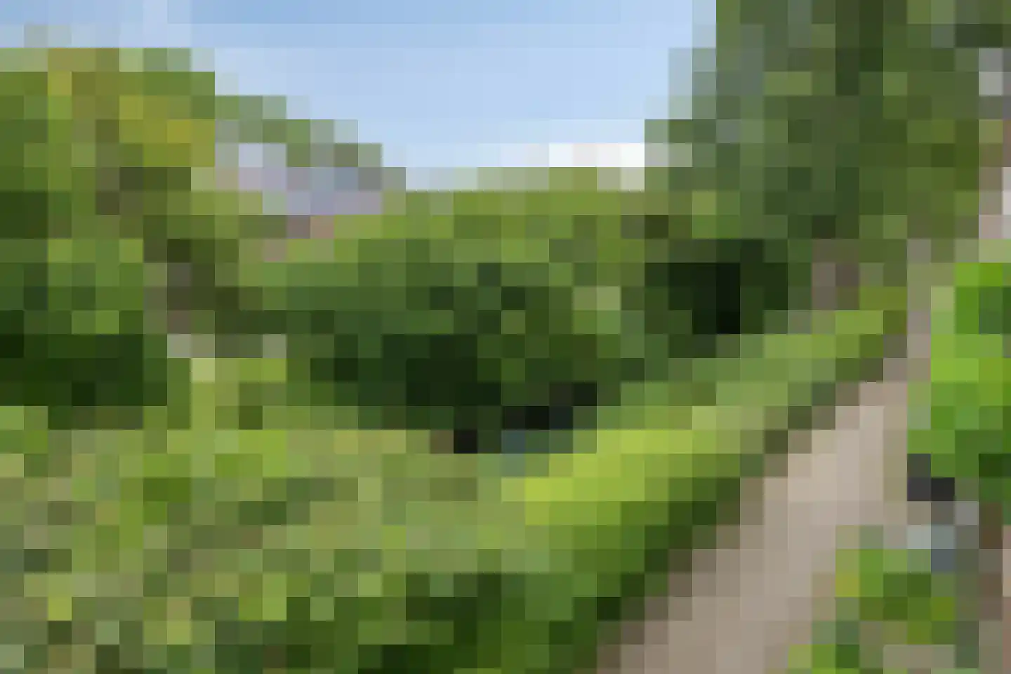 Botter 8 Oud-Beijerland thumbnail 40
