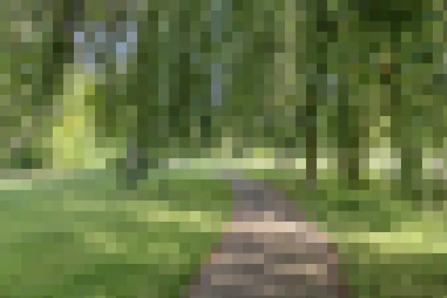 Botter 8 Oud-Beijerland thumbnail 43