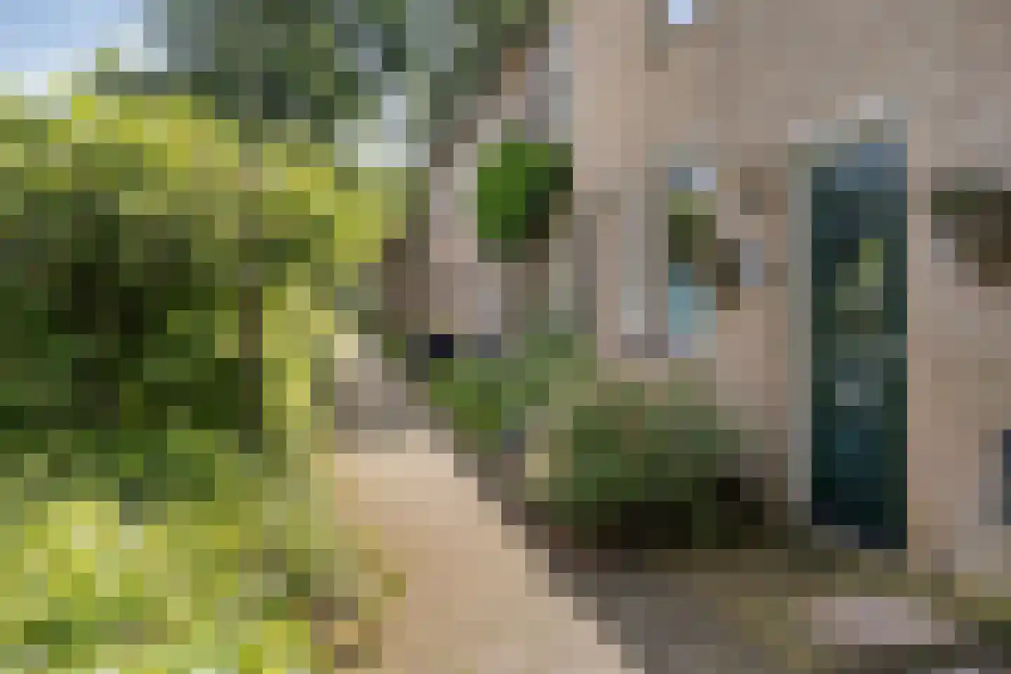 Botter 8 Oud-Beijerland thumbnail 6
