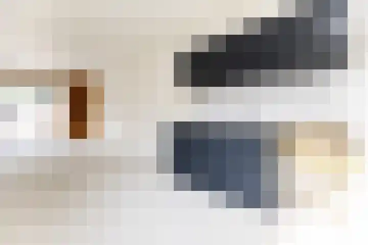 Botter 84 Hoorn thumbnail 12