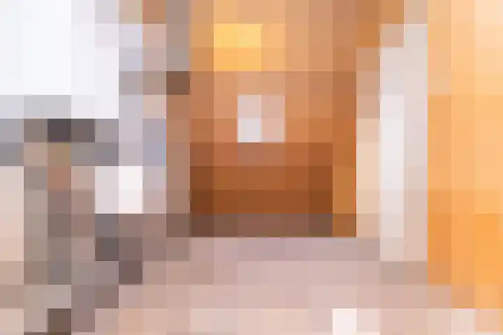 Botter 84 Hoorn thumbnail 27