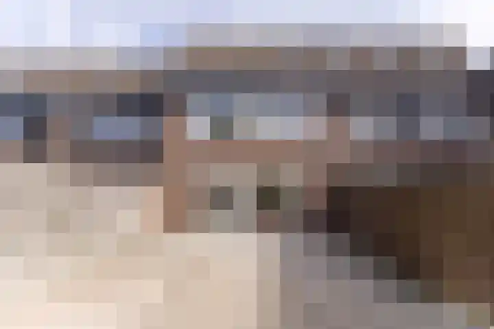 Botter 84 Hoorn thumbnail 28