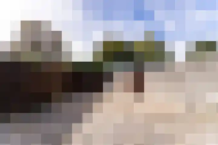 Botter 84 Hoorn thumbnail 30