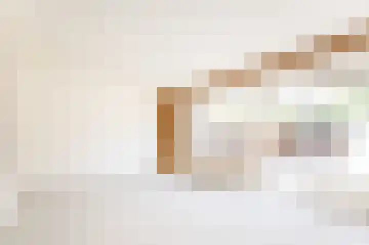 Botter 84 Hoorn thumbnail 6