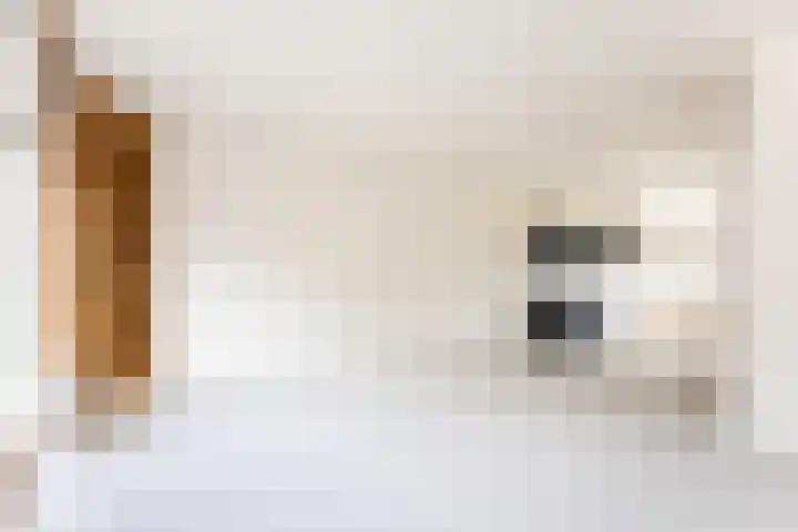 Botter 84 Hoorn thumbnail 9
