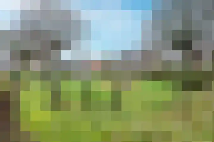 Botter 9 Stellendam thumbnail 34