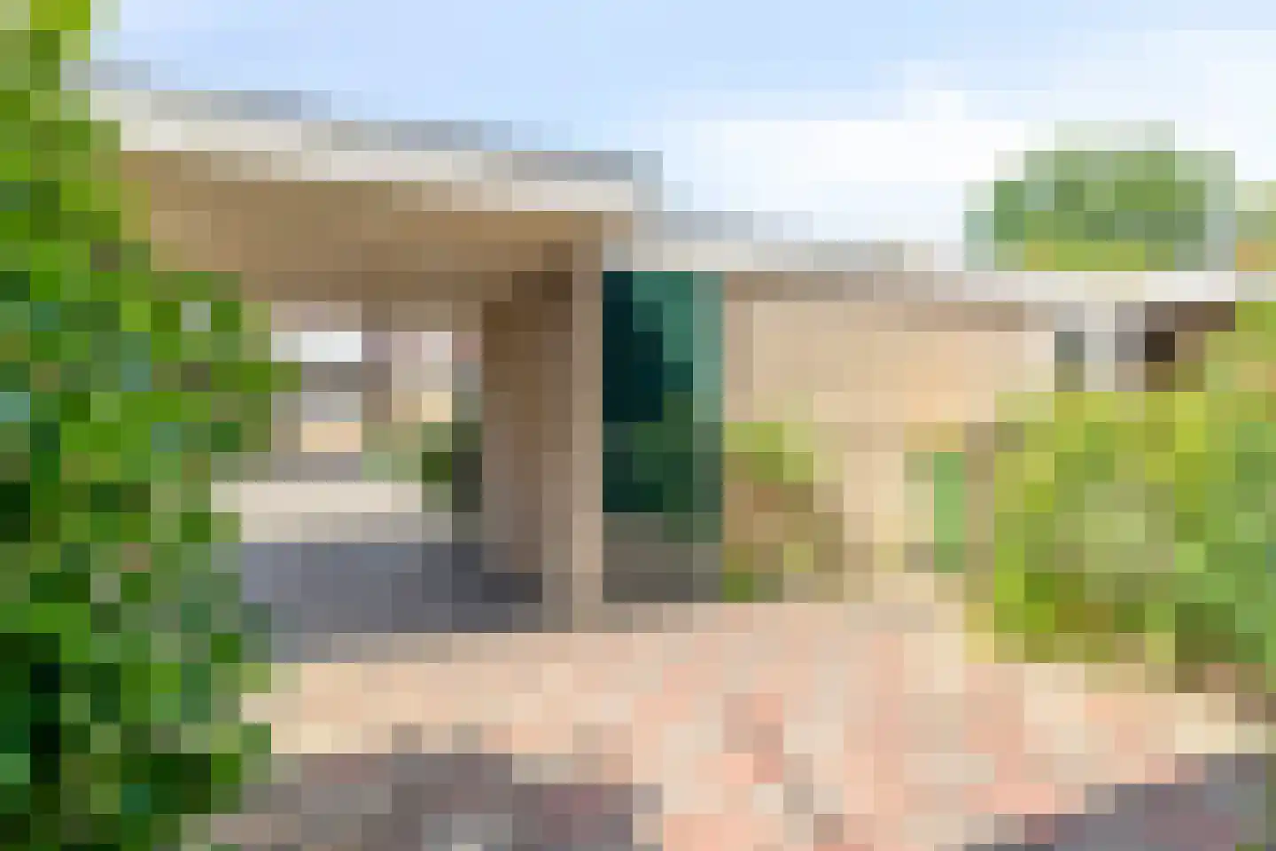 Botter 9 Veenendaal thumbnail 10