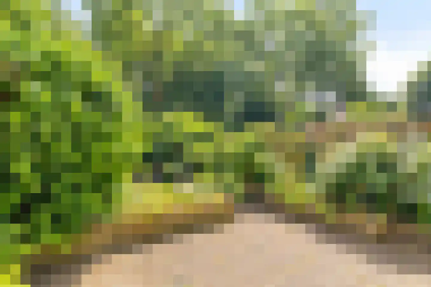 Botter 9 Veenendaal thumbnail 35