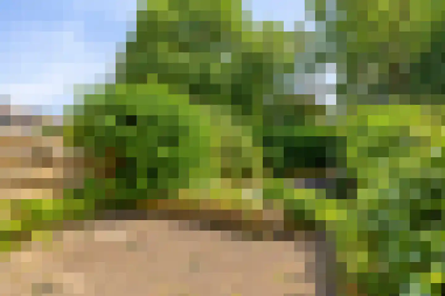 Botter 9 Veenendaal thumbnail 36