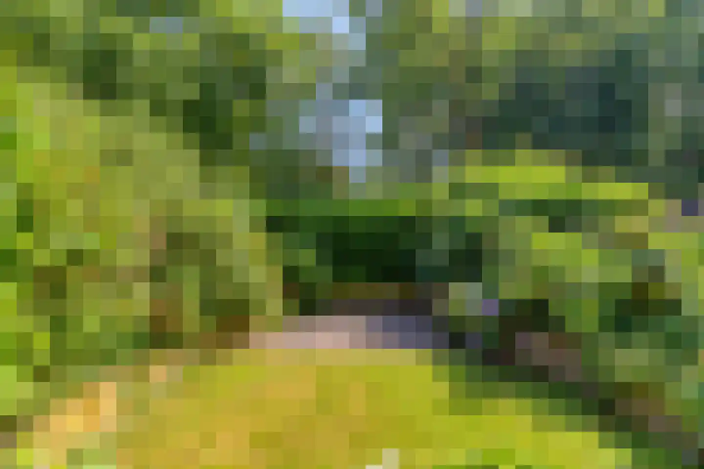 Botter 9 Veenendaal thumbnail 37