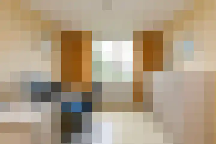 Botter 9 Zeewolde thumbnail 12