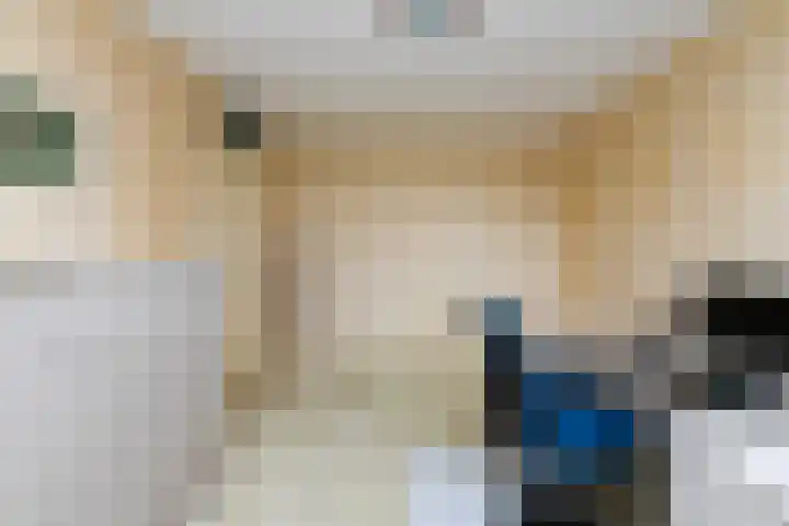 Botter 9 Zeewolde thumbnail 13