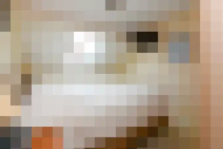 Botter 9 Zeewolde thumbnail 15
