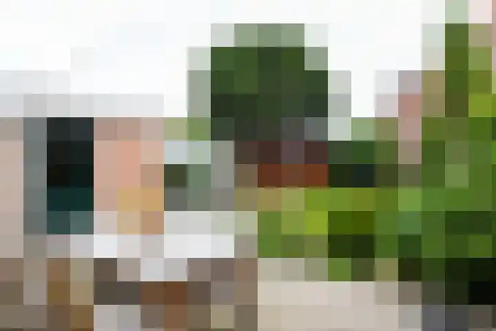 Botter 9 Zeewolde thumbnail 24