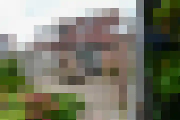 Botter 9 Zeewolde thumbnail 26