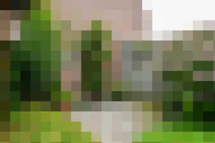 Botter 9 Zeewolde thumbnail 29