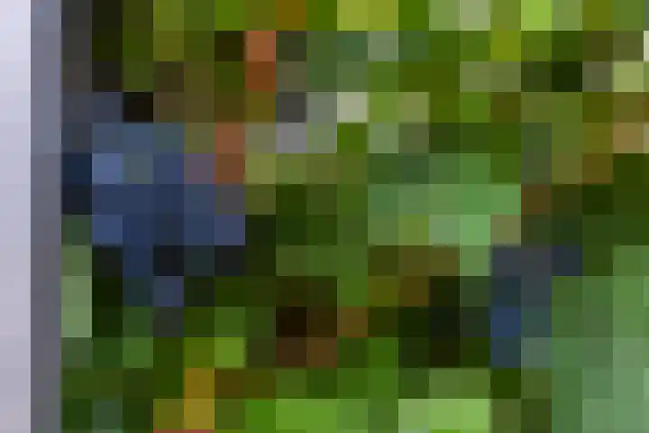 Botter 9 Zeewolde thumbnail 30